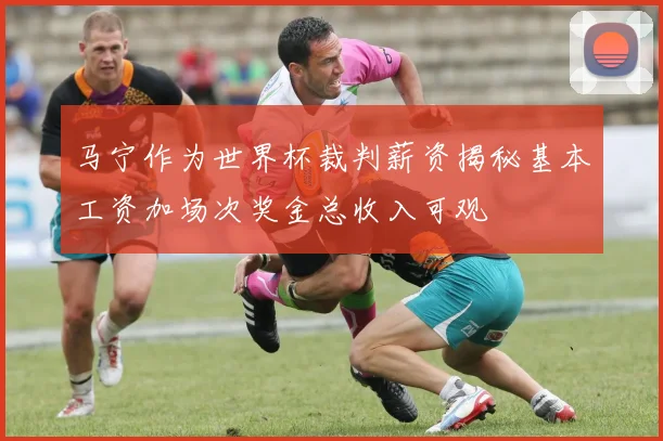马宁作为世界杯裁判薪资揭秘基本工资加场次奖金总收入可观