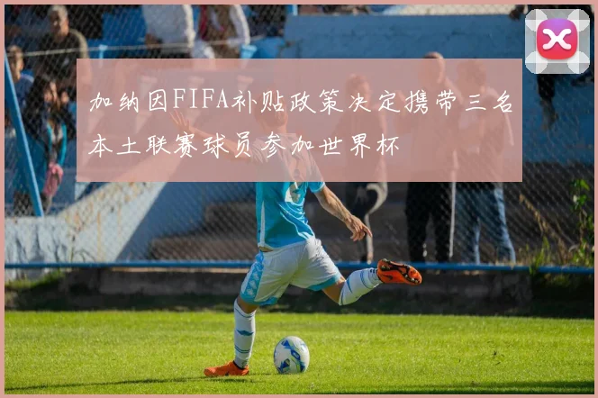 加纳因FIFA补贴政策决定携带三名本土联赛球员参加世界杯