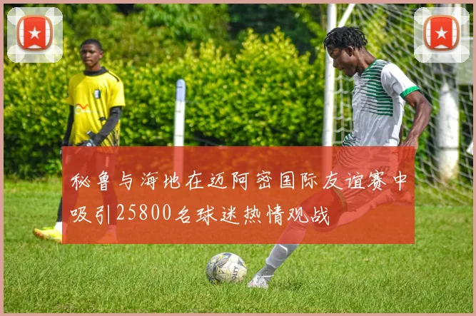 秘鲁与海地在迈阿密国际友谊赛中吸引25800名球迷热情观战